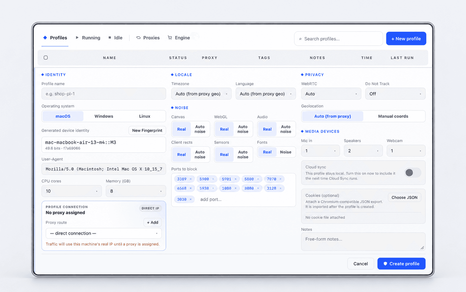 Actual profile editor with identity, locale, noise and privacy controls